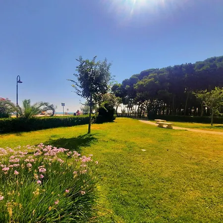 Mare Int A - Myho Casa Alba Adriatica