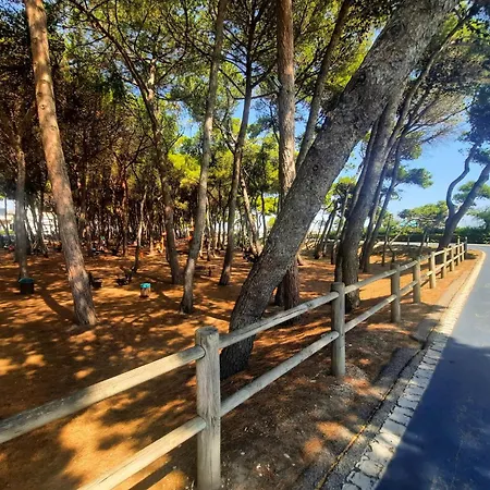 Mare Int A - Myho Casa Alba Adriatica