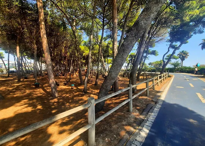 Mare Int A - Myho Casa Alba Adriatica